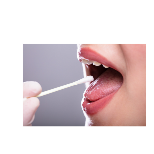 The Power of Saliva: More Than Just Spit